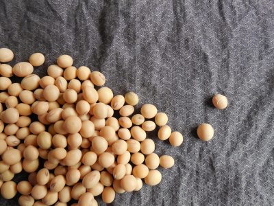 soybeans-182294_960_720