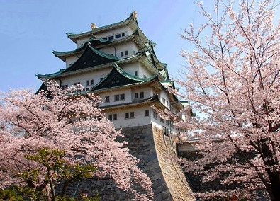 お花見 名古屋 2017