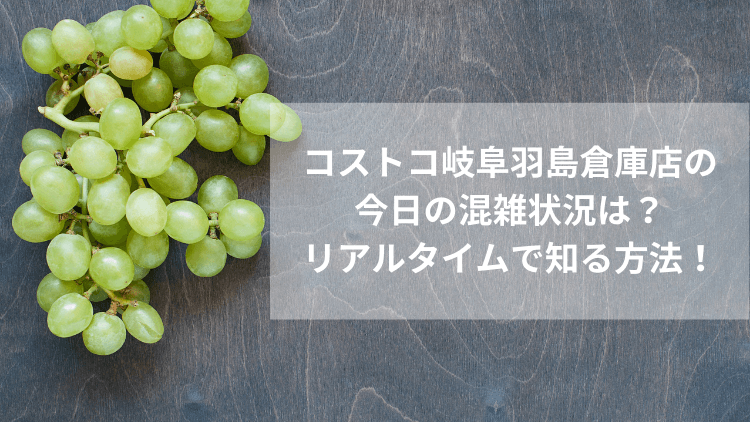 コストコ岐阜羽島倉庫店の今日の混雑状況は リアルタイムで知る方法 にこトピ