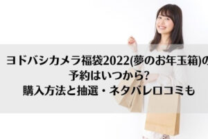 ヨドバシカメラ福袋22 夢のお年玉箱 の予約はいつから 購入方法と抽選 ネタバレ口コミも にこトピ