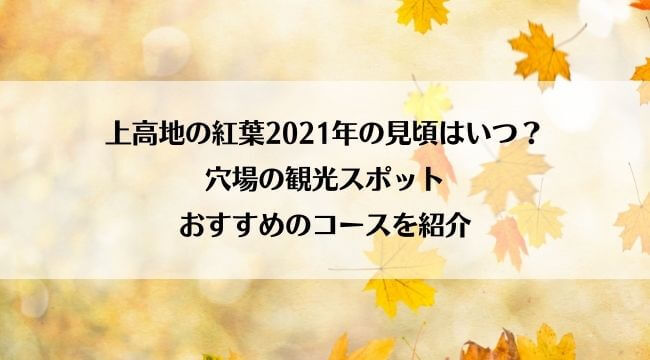 ラグーナの花火開催日21年はいつ 日にちと時間と料金を調査 にこトピ