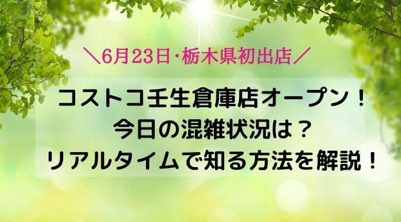 コストコ壬生倉庫店オープン 今日の混雑状況は リアルタイムで知る方法を解説 にこトピ