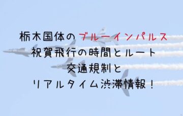 栃木国体のブルーインパルス祝賀飛行の時間とルート・交通規制とリアルタイム渋滞情報！